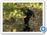 REPSOL - Suspicious Person